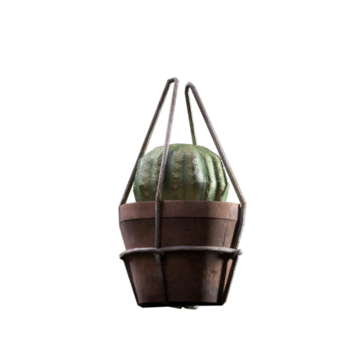Plante grasse (Amulette)