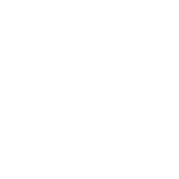 Sorry (Emote)