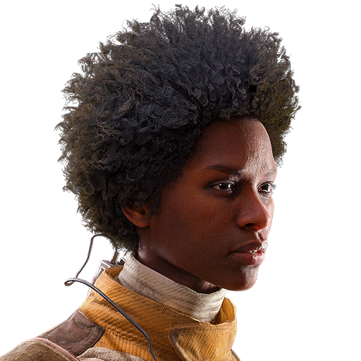 Langer Afro (Frisur)