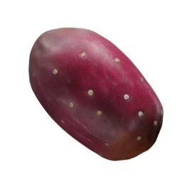 Prickly Pear