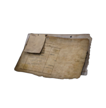 Pilgrim's Peak Security Code