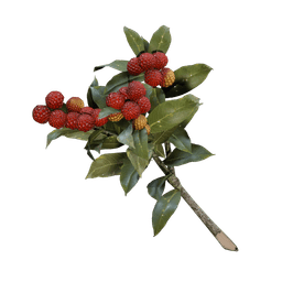 Kerzenbeeren