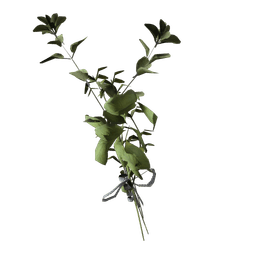 Great Mullein