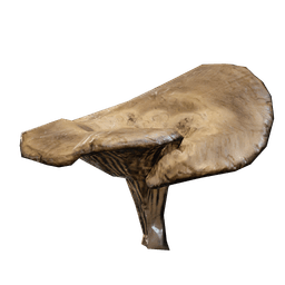 Champignon