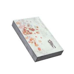 Livro rasgado