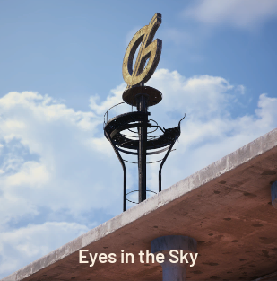 Eyes in the Sky