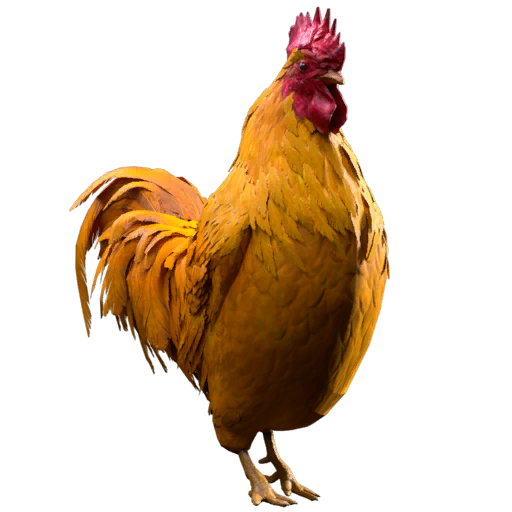 Pedra de Reforço (Raça Scrappy)