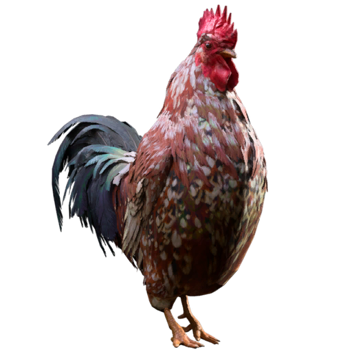 Polvilhado (Raça Scrappy)